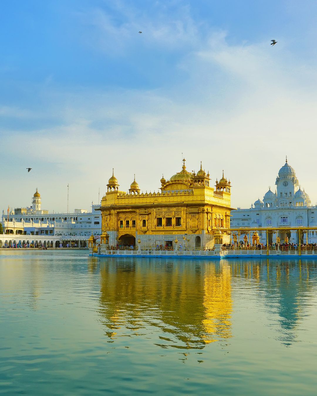 Weight loss in Amritsar with best dietician