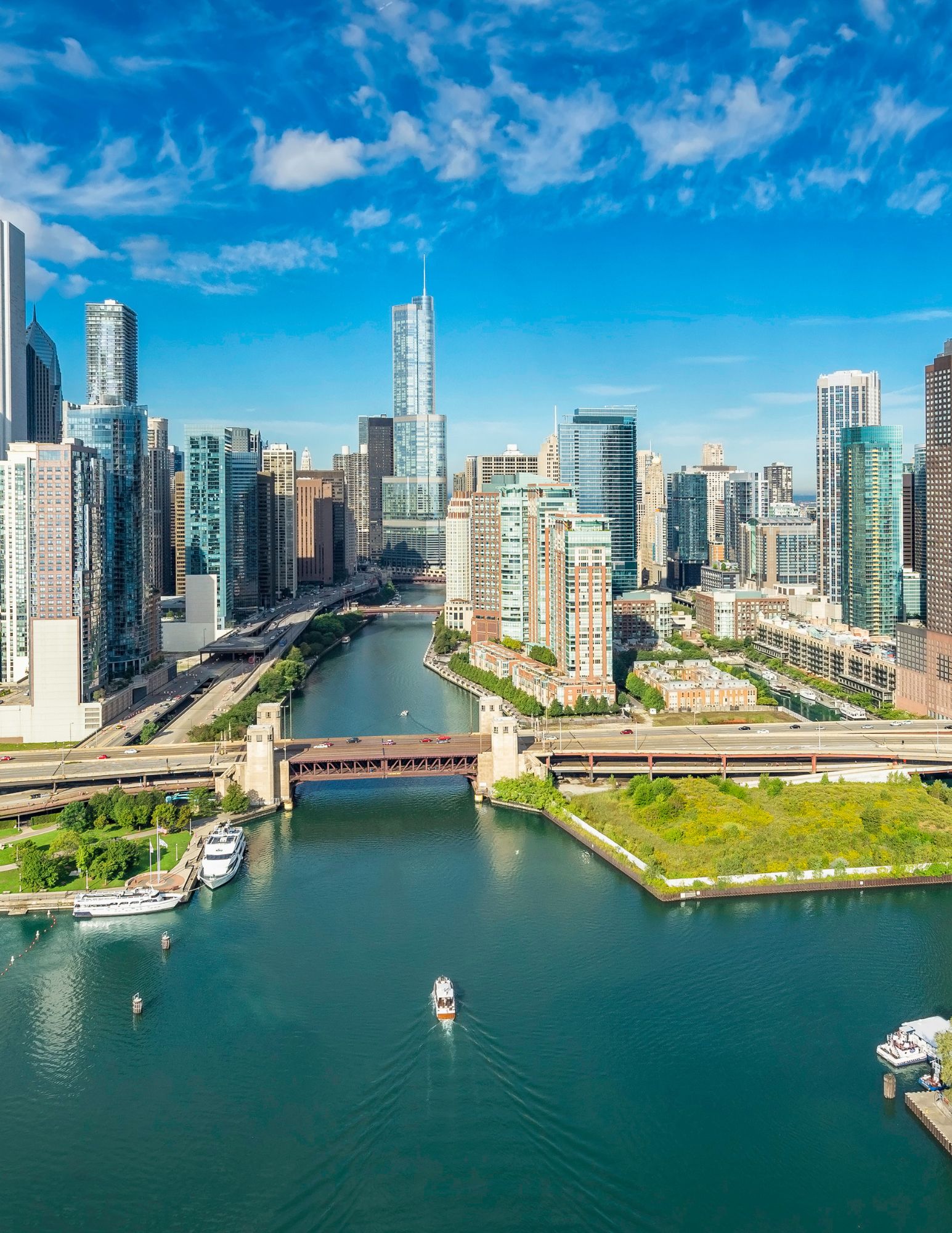 Nutritionist in Chicago and dietitian in Chicago - personalised diet Chicago plan