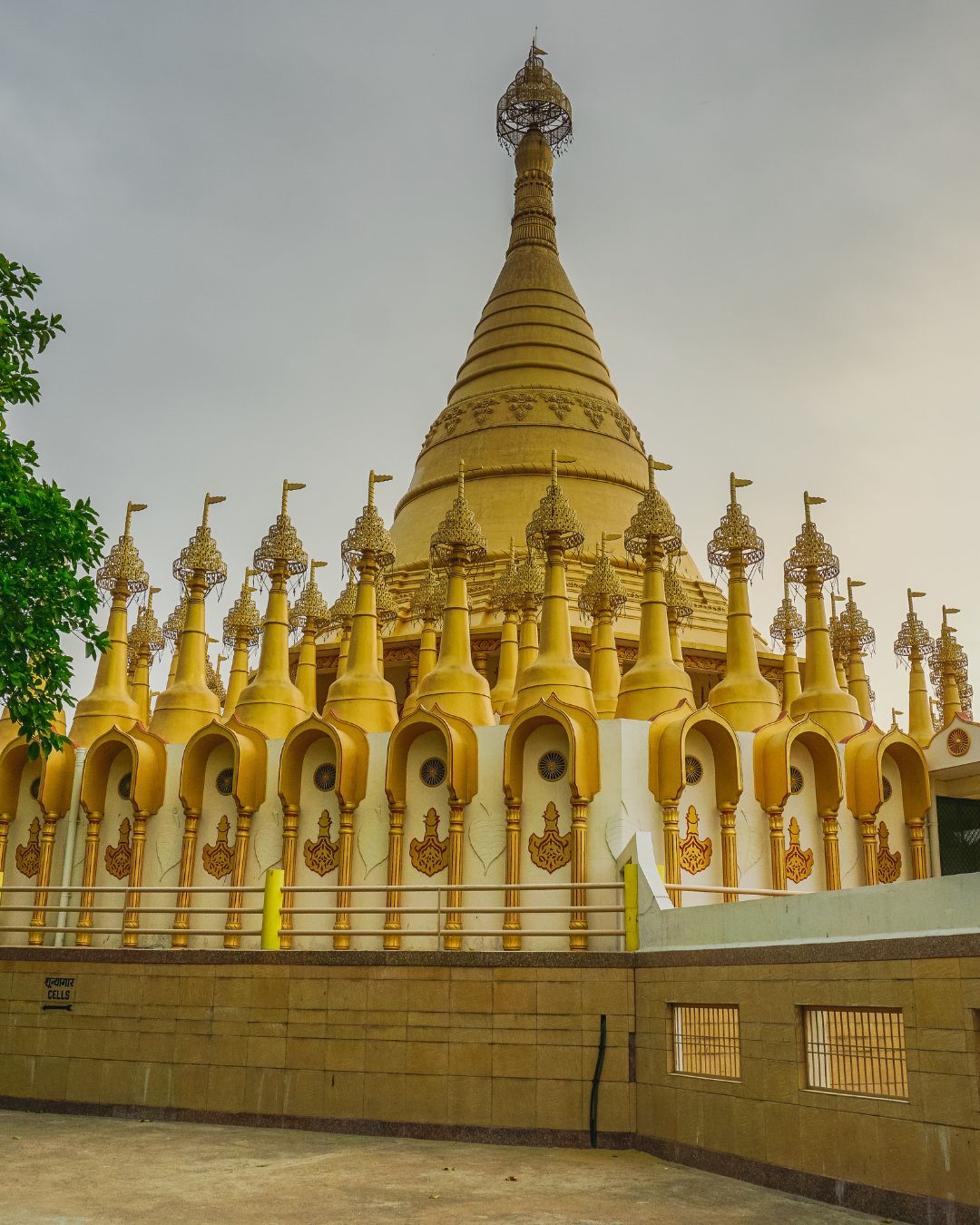 Best nutritionist in Nagpur for weight gain