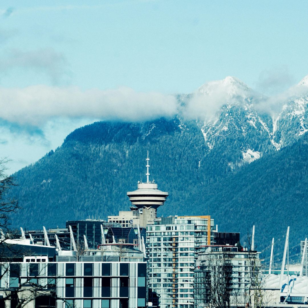 Best nutritionist in Auckland weight loss weight gain plans